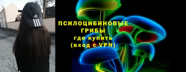 героин Алексин